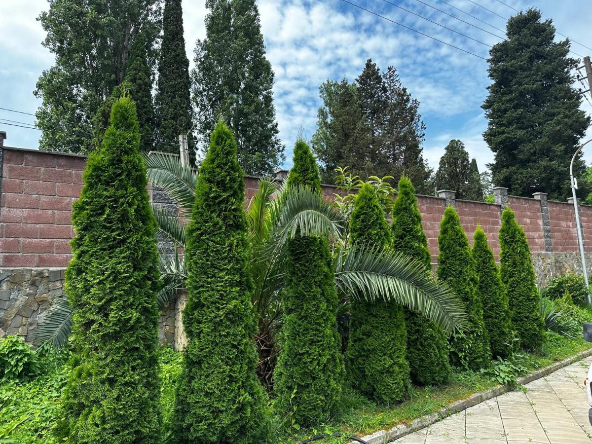 Anastasia Gudauta Exterior photo